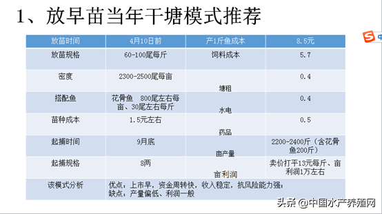 明年湖北加州鲈面积将达1.5万亩以上，澳华重点布局，剑指华中加州鲈鱼市场第一品牌