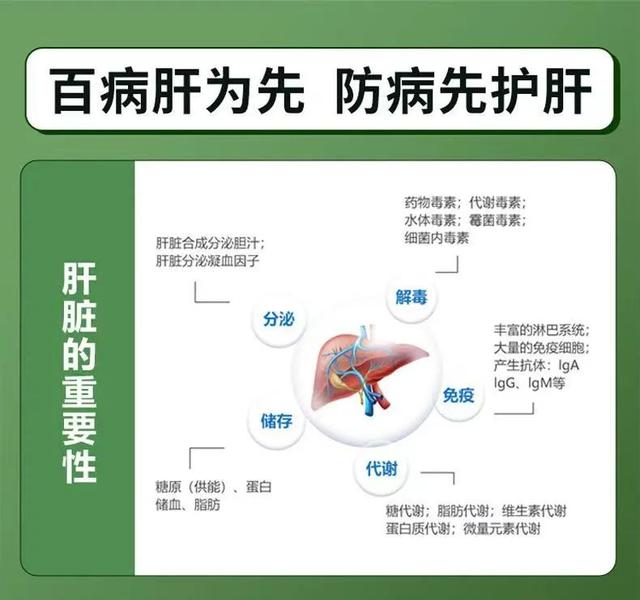 700天500蛋，如何延长蛋鸡养殖周期、降低料蛋比，来提高养殖利润