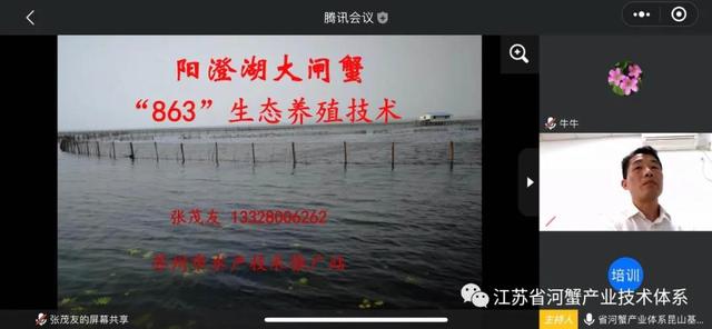 江苏省河蟹体系昆山推广示范基地成功举办2020年度水产健康养殖在线培训