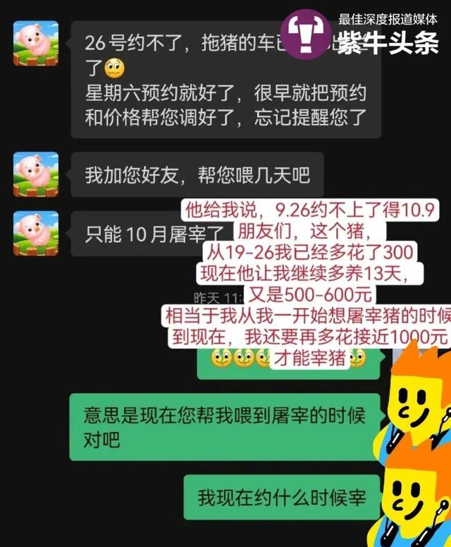 女子花8000元在网上云养猪，到收获的时候，养猪平台不靠谱？