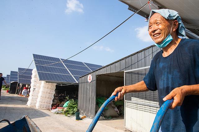 天定视界｜河南乡村振兴：山村光伏发电板间藏个大型珍珠鸡养殖场