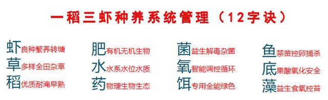 火遍全国的稻田虾，哪些问题比较突出？技术上模式上还有哪些提升的空间