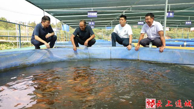 通城：把“鱼儿的家”搬进“圈养桶” “零排放”环保养鱼产量提高10倍