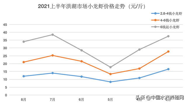 小龙虾两年涨15%！大虾需求不断扩大，把握时间收益最大化