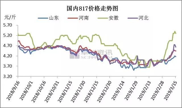 毛鸡价格强势走高，养殖盈利能否持续？