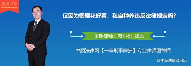 仅因为罂粟花好看，私自种养违反法律规定吗？