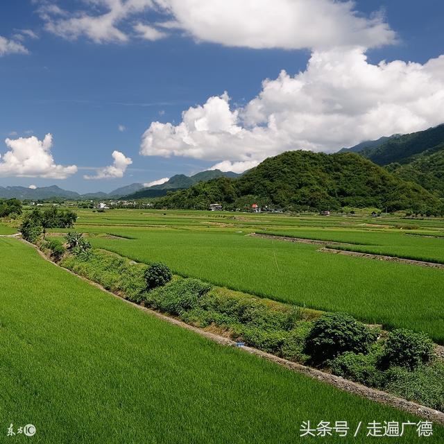 走遍广德：龙虾养殖之邱村镇白云村