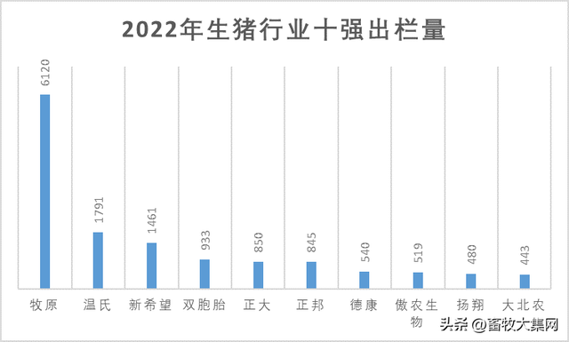 双胞胎、正邦合体，新猪王诞生，牧原、温氏龙头之位危险了