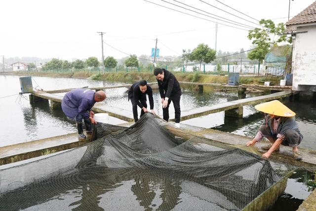 「乡村振兴看高坪」杜吉和他的水产养殖梦