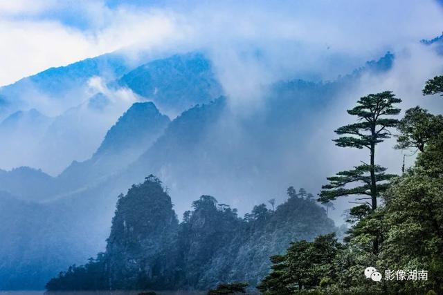 延期截稿！“湘粤福地·南岭之巅”中国莽山摄影大赛