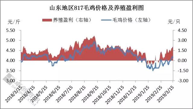 毛鸡价格强势走高，养殖盈利能否持续？