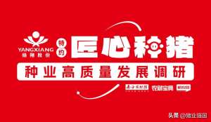 山东省养殖基地(山东富通农牧：打造30万头生猪产业链，万亩绿地打造种业高地)