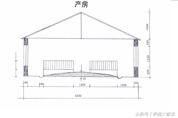 自繁自养100头母猪场设计图，猪场建造科学合理，养猪赚钱有保障