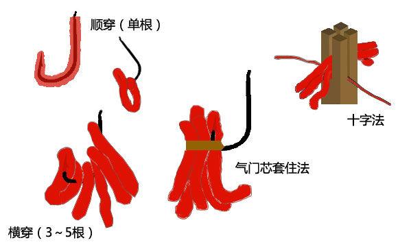 “捞虫族”月入上万，臭水沟里的红虫价值连城，这些虫干啥用的？