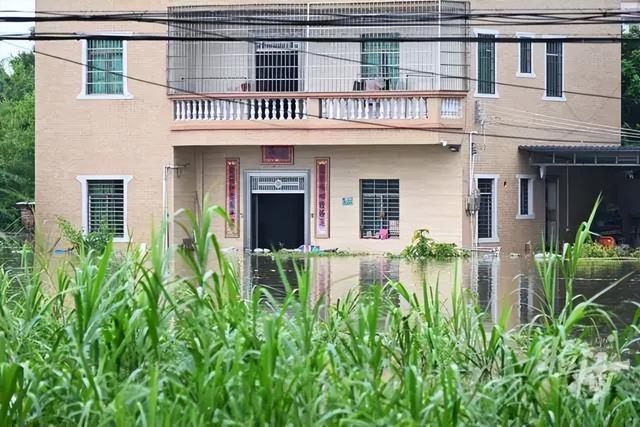 广东一养殖场75条鳄鱼趁暴雨出逃，躲在附近深水区，目前抓回8条……当地多部门已在现场驻守，保障居民安全