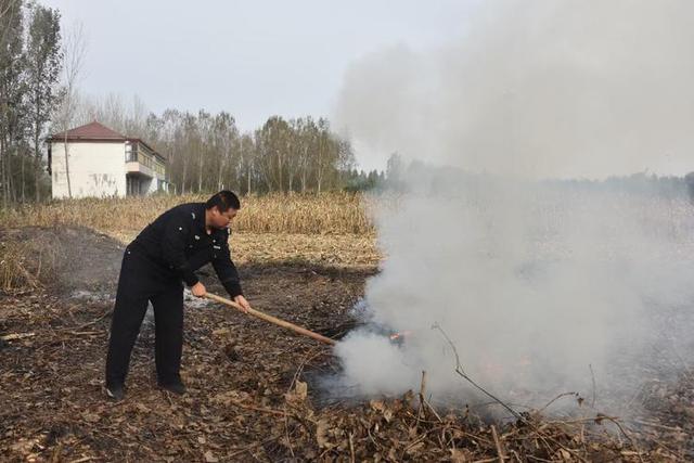 是谁在砸中国人的饭碗？400年才形成的黑土，4元一斤在网上被盗卖