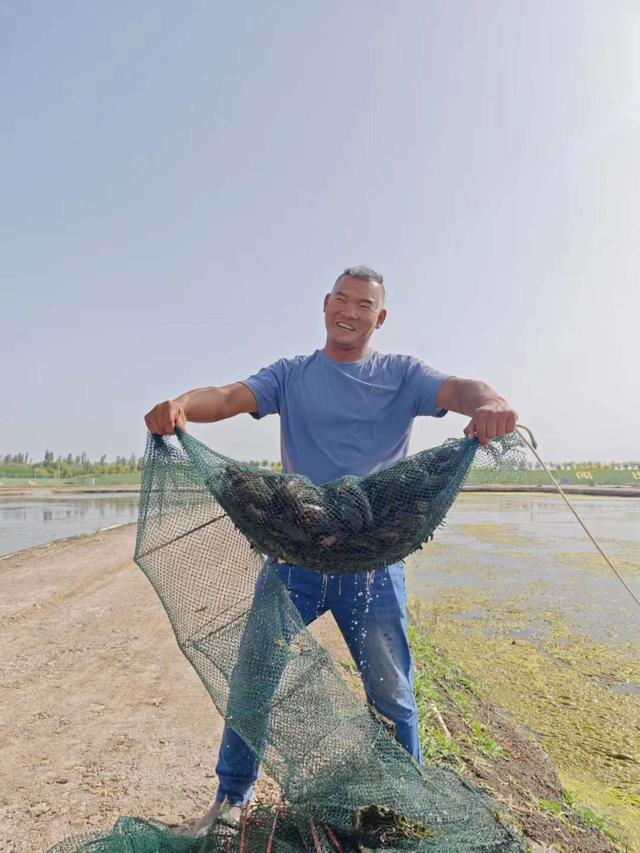 从海洋到沙漠，澳洲龙虾怎么跨越万里，定居新疆的？