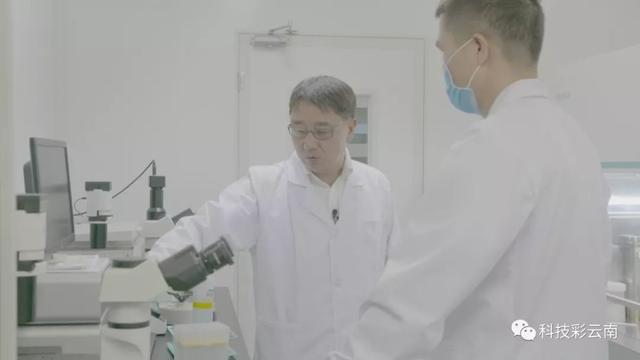 魏红江：用克隆技术造福人类