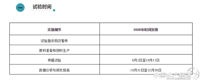 养虾升级革命来了，只需千元级改造投入，每亩至少产千斤鱼