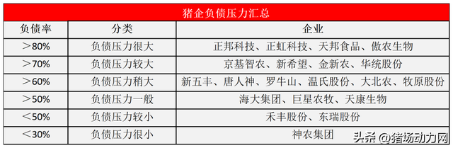 扛不住了？万头猪场拉闸关停？昔日“黑马”猪企傲农最新回应