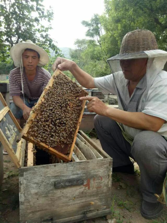 三大养殖业值得投资，你知道吗？