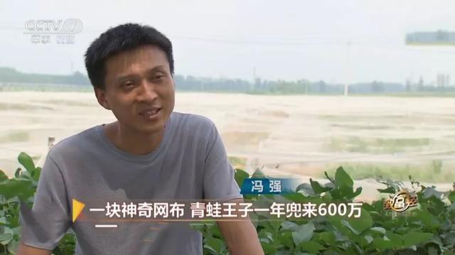 一块网布，2亩地，养什么能养出600万？