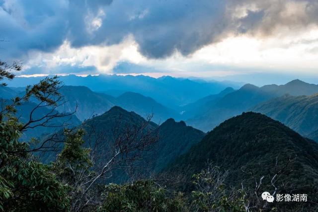 延期截稿！“湘粤福地·南岭之巅”中国莽山摄影大赛