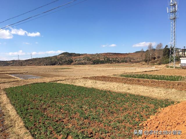 曲靖本地800亩龙虾养殖用地出租