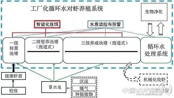 生物絮团工厂化循环水养殖技术，投资小，易操作