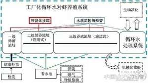 福建淡水鱼养殖(生物絮团工厂化循环水养殖技术，投资小，易操作)