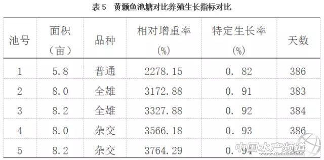 黄颡鱼池塘养殖分析，三个品种亩产值都过2万，选哪个？