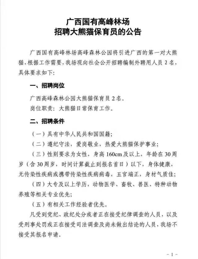 大熊猫入住广西高峰森林公园，为啥只招漂亮小姐姐？官方回应