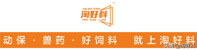 中国十大饲养基地！中国最大的养殖场在哪？（蛋鸡、水产、畜牧）