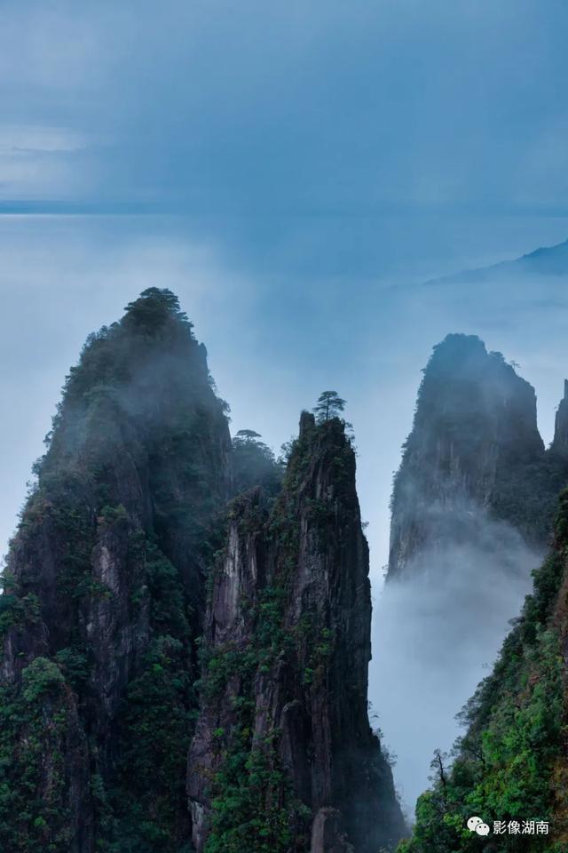 延期截稿！“湘粤福地·南岭之巅”中国莽山摄影大赛