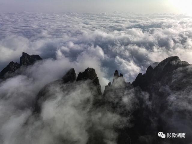 延期截稿！“湘粤福地·南岭之巅”中国莽山摄影大赛