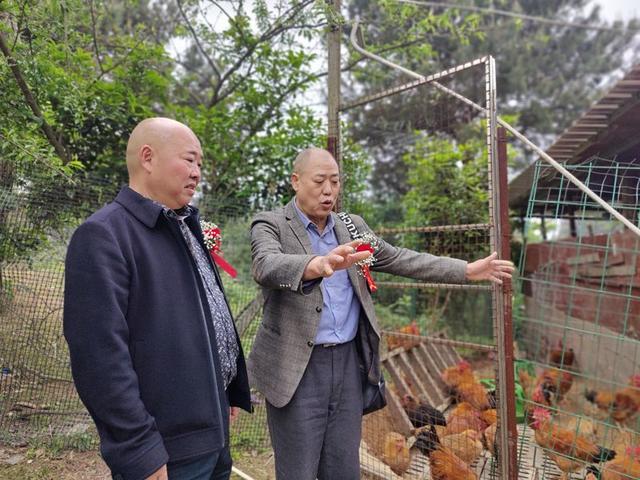 贵州农职院：校企合作助推生态养鸡产业发展