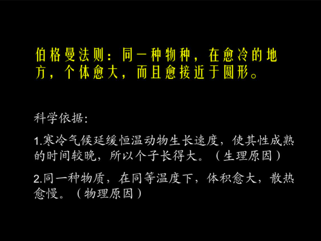 印度尼西亚诱捕9米巨蟒，地球最大的蛇究竟多长？人被吞下怎么办