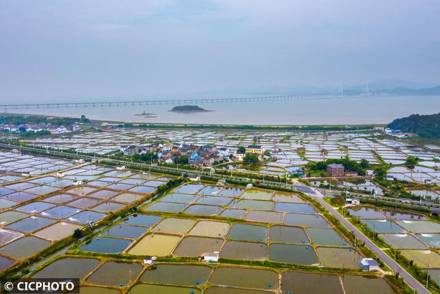 浙江宁波：多彩“致富塘”