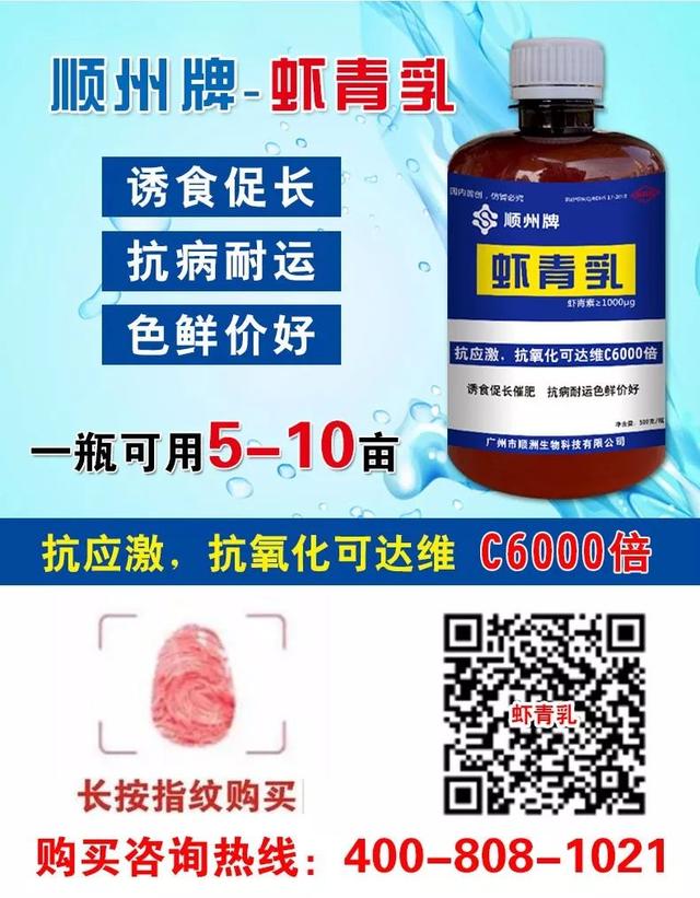 越南加大虾类养殖面积至73万公顷！准备开发俄罗斯、波兰新市场