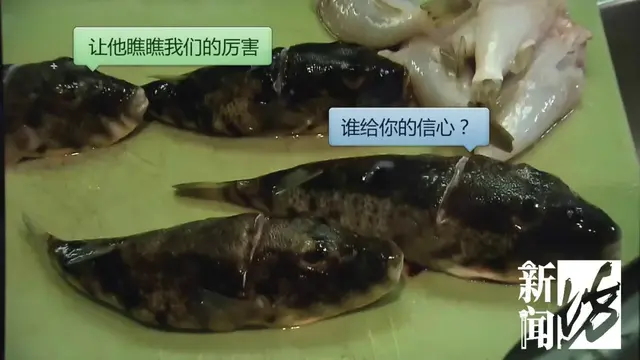 厨师被判刑！男子食用这道“美味”后中毒休克成植物人，浙江有人因它丧命