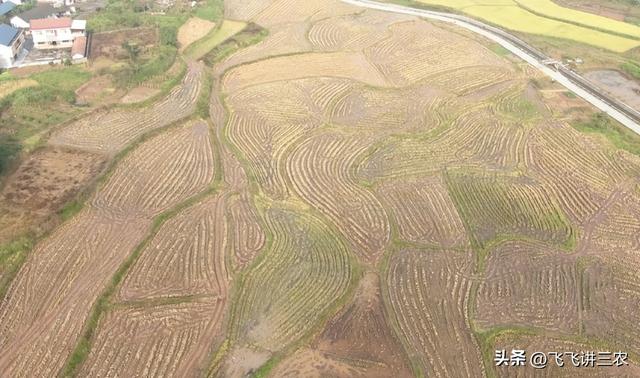 中央敲定，“农田改造”，2023年统一按照新规处理，村村都要落地