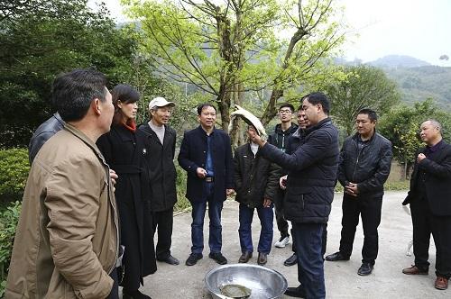 重庆市合川区清平镇重实效铺好村民致富路