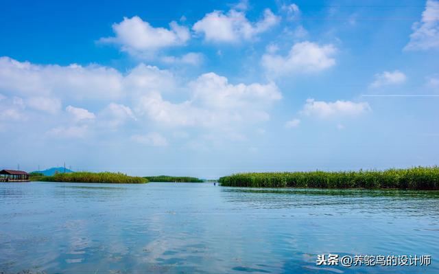 鸵鸟养殖如何选址？如何合法高效的选择合适的场地？我来告诉你