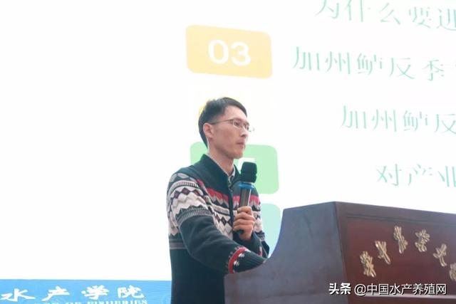 明年湖北加州鲈面积将达1.5万亩以上，澳华重点布局，剑指华中加州鲈鱼市场第一品牌