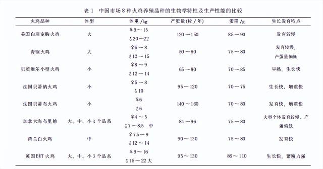 火鸡怎么养殖？火鸡育雏、育肥期的饲养管理