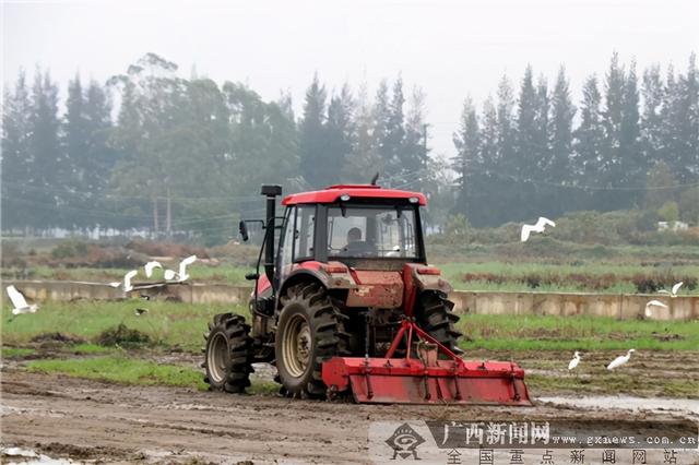 【八桂闹春耕，喜迎开门红】防城港