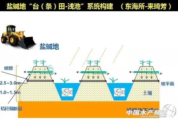 水产养殖新模式—“物联网+”，养鱼也能轻松体面