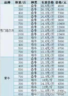 牛价真的跌了么？