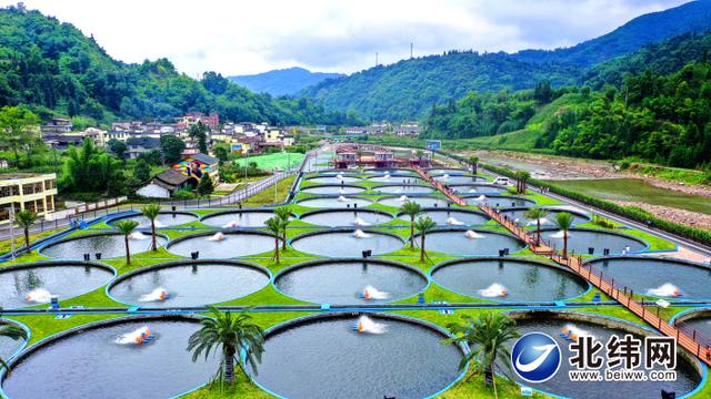 “鲟”路出击 鱼跃深山