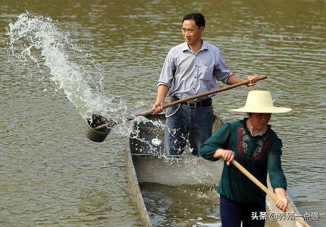 消毒剂在水产养殖中高效、安全使用，病死鱼勿乱扔